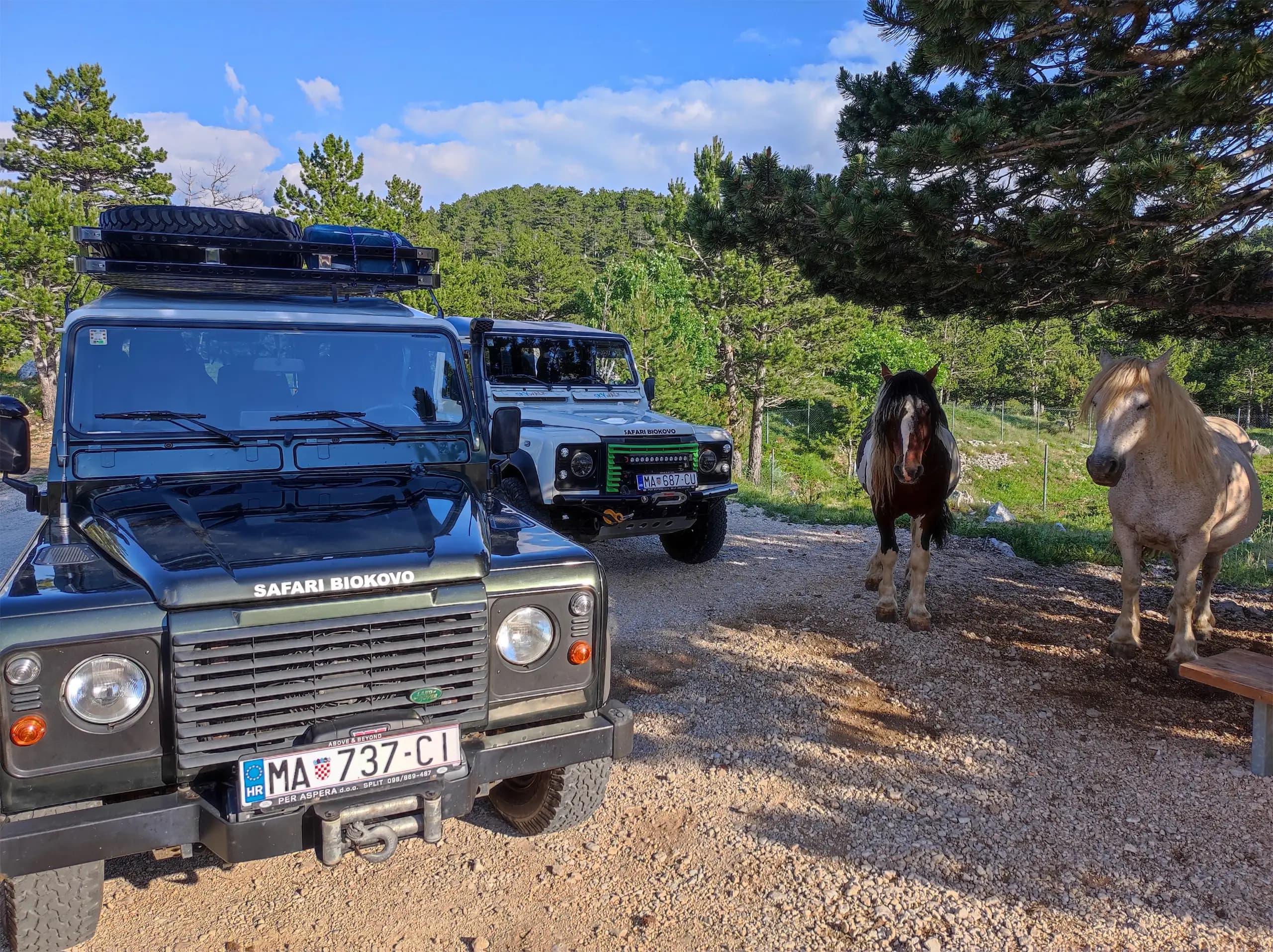 Land Rover Defender s divljim konjima tijekom Safarija na Biokovu